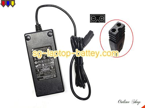 Genuine SWITCHING FJ-SW1205000D Adapter  12V 5A 60W AC Adapter Charger SWITCHING12V5A60W-2holes
