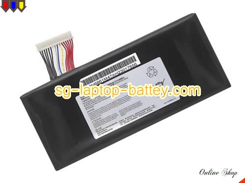 MSI GT72 6QDG16H11 Replacement Battery 6600mAh, 73Wh  11.1V Black Li-ion
