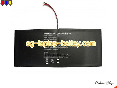INSYS 4580270P Battery 10000mAh 3.8V Black Li-ion