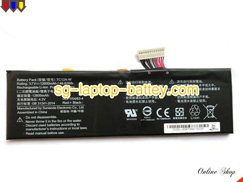 OTHER TC12AW Battery 12600mAh, 46.62Wh  3.7V Black Li-ion