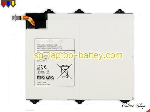 SAMSUNG SM-T560NU Replacement Battery 7300mAh, 27.74Wh  3.8V White Li-Polymer