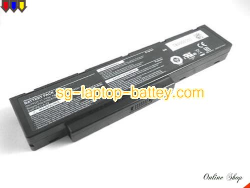 PACKARD BELL EUP-P1-4-22 Battery 4800mAh 11.1V Black Li-ion