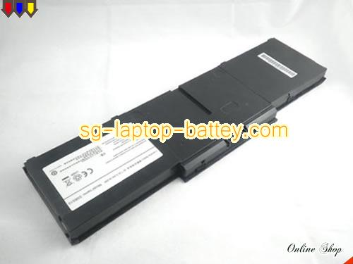 OLEVIA SSBS13 Battery 5300mAh 7.4V Black Li-Polymer