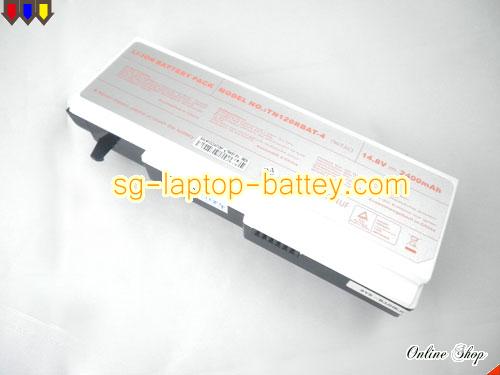 Genuine CLEVO TN121R Notebook computer Battery For laptop 2400mAh, 14.8V, Black and White , Li-ion