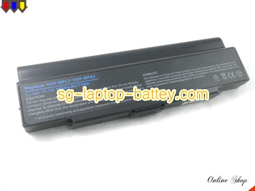 SONY VAIO PCG-6C1N Replacement Battery 6600mAh 11.1V Black Li-ion