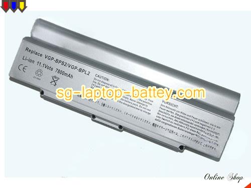 SONY VAIO VGN-C140F Replacement Battery 6600mAh 11.1V Silver Li-ion