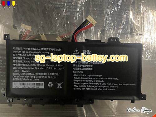Genuine GANFENG 2ICP6/78/86 Laptop Computer Battery 607986-2S rechargeable 6000mAh, 45.6Wh  In Singapore 