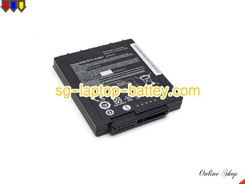  image 2 of Genuine XPLORE XLBM1 Laptop Battery 2ICP6/74/70 rechargeable 4770mAh, 36Wh Black In Singapore